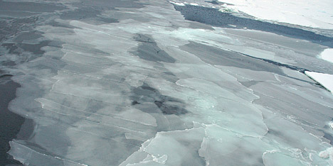 Photograph of Nilas Ice.