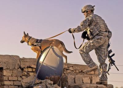 U.S. Army dog handler and his dog