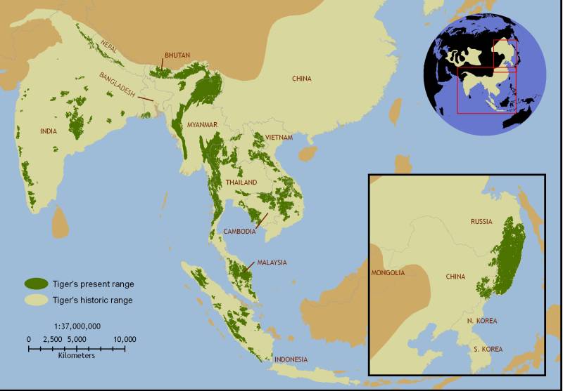 Tigers Natural Habitat Map