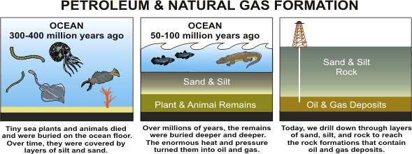 Petroleum and Natural Gas Formation