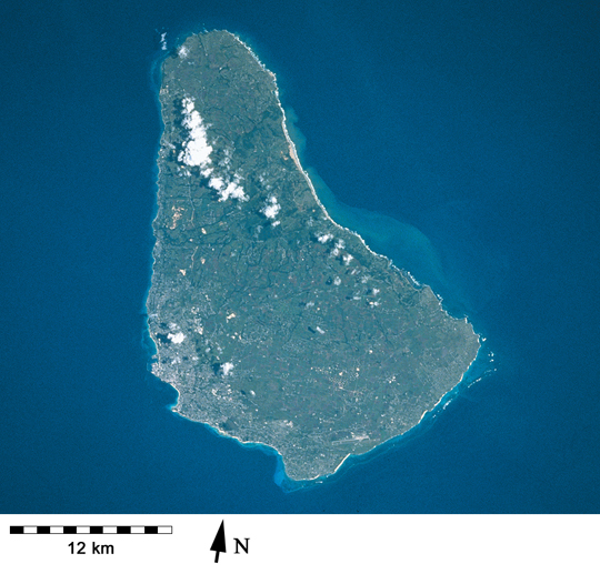 Fringing reefs around Barbados