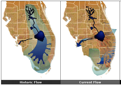 Florida Everglades Water Flow Map