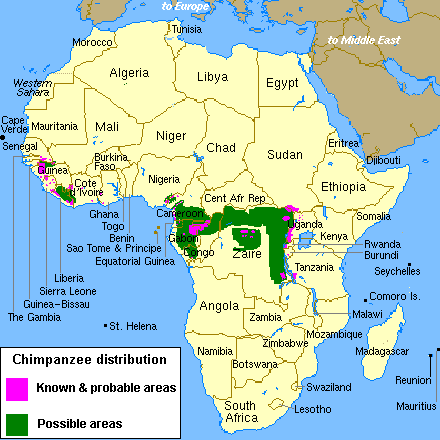 Chimpanzee Distribution Map