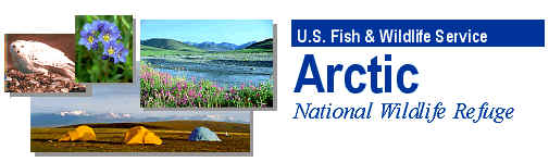 Arctic National Wildlife Refuge