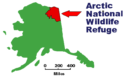 Arctic National Wildlife Refuge