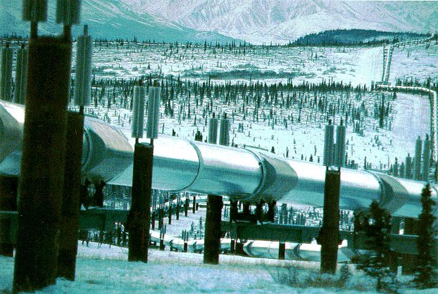 Trans-Alaska Pipeline In the Tundra