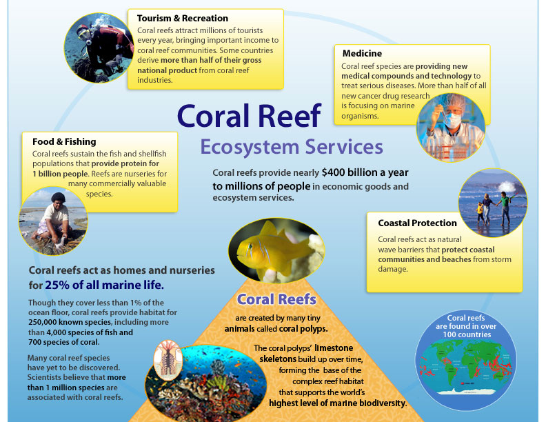 Coral Reef Medicine