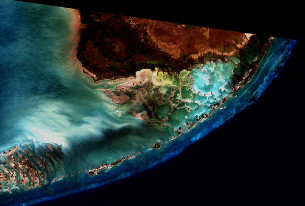 Florida Keys coral reef