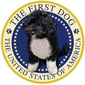 The First Dog Bo