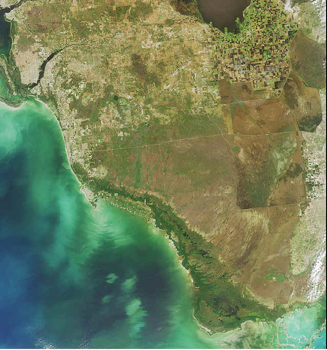Florida Everglades Satellite Image NASA