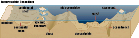 Ocean Floor Features