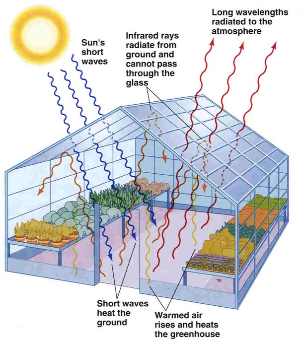 Defination Of Green House If Needed Science A GoGo s Discussion Forums