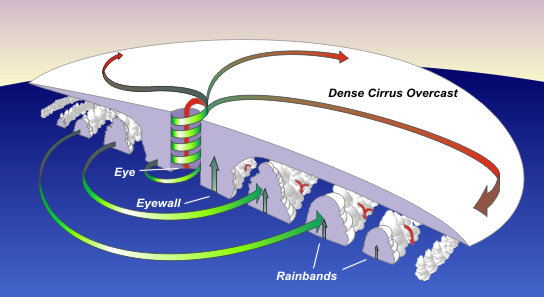 Cross section of a typical hurricane