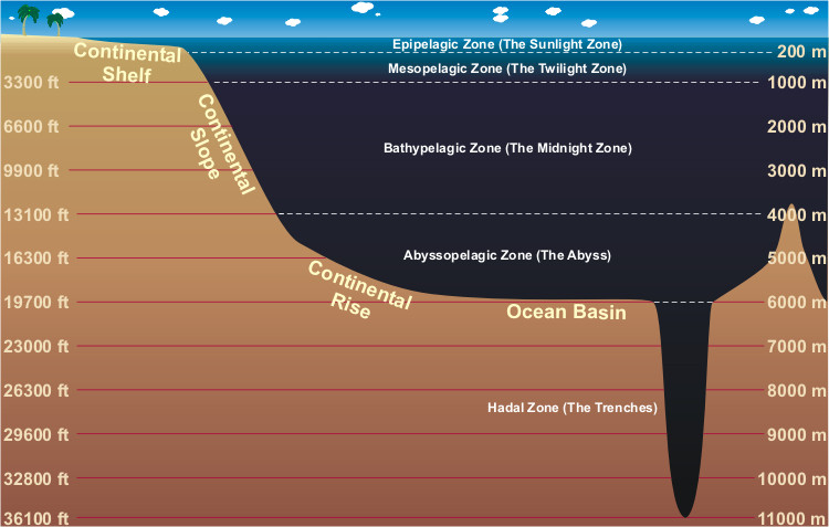 Layers of the Ocean