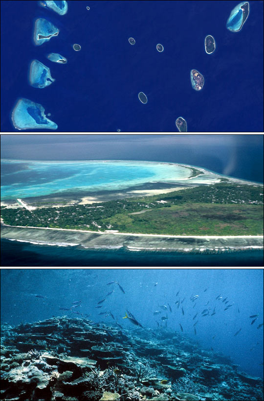 Atolls in The Maldives Credit: NASA 