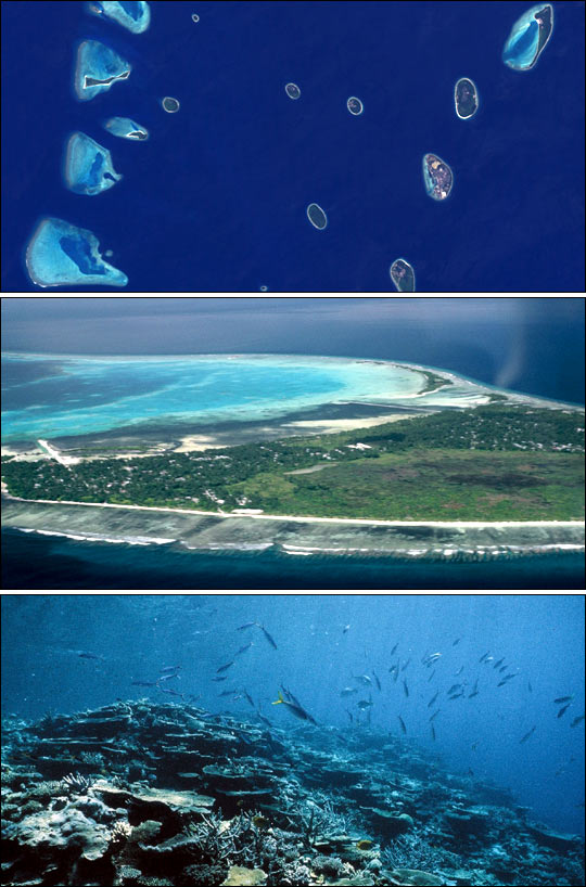 Atolls in The Maldives Credit: NASA