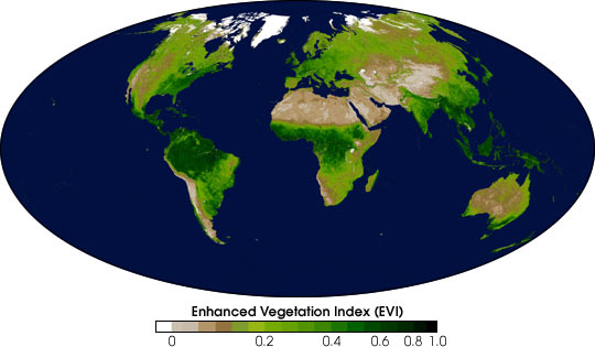 rainforest map nasa