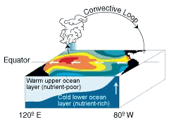 Normal Ocean conditions