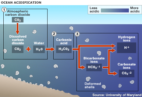 Ocean Acidification