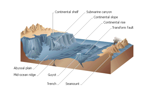 Ocean Floor Features