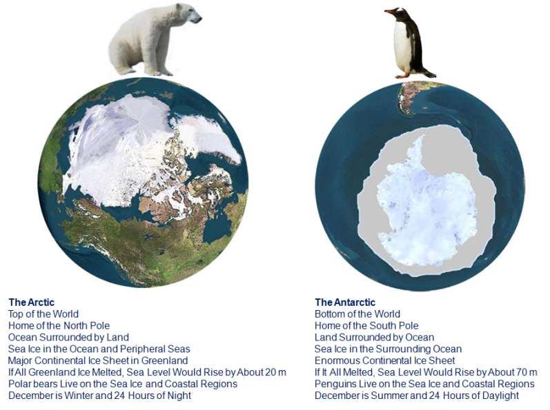 Arctic-Polar Bears Antarctic-Penguins