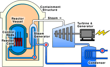 Pressurized Water Reactor (PWR)