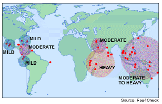 coral reef threats