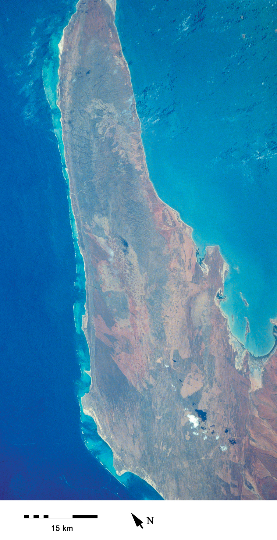 The North West Cape is bordered by Australia's longest fringing reef, the Ningaloo Reef