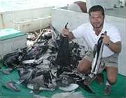 shark_finning_shark_fins