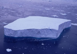 iceberg tabular