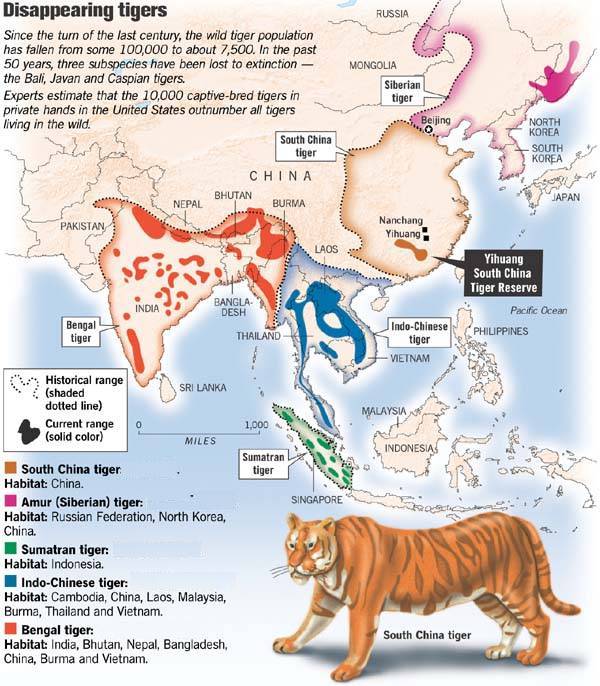 Tigers Natural Habitat Map