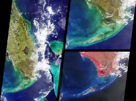 Florida Everglades From Space