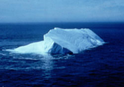 iceberg wedge