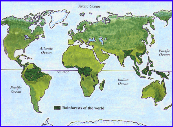 layers of rainforest. Rainforests